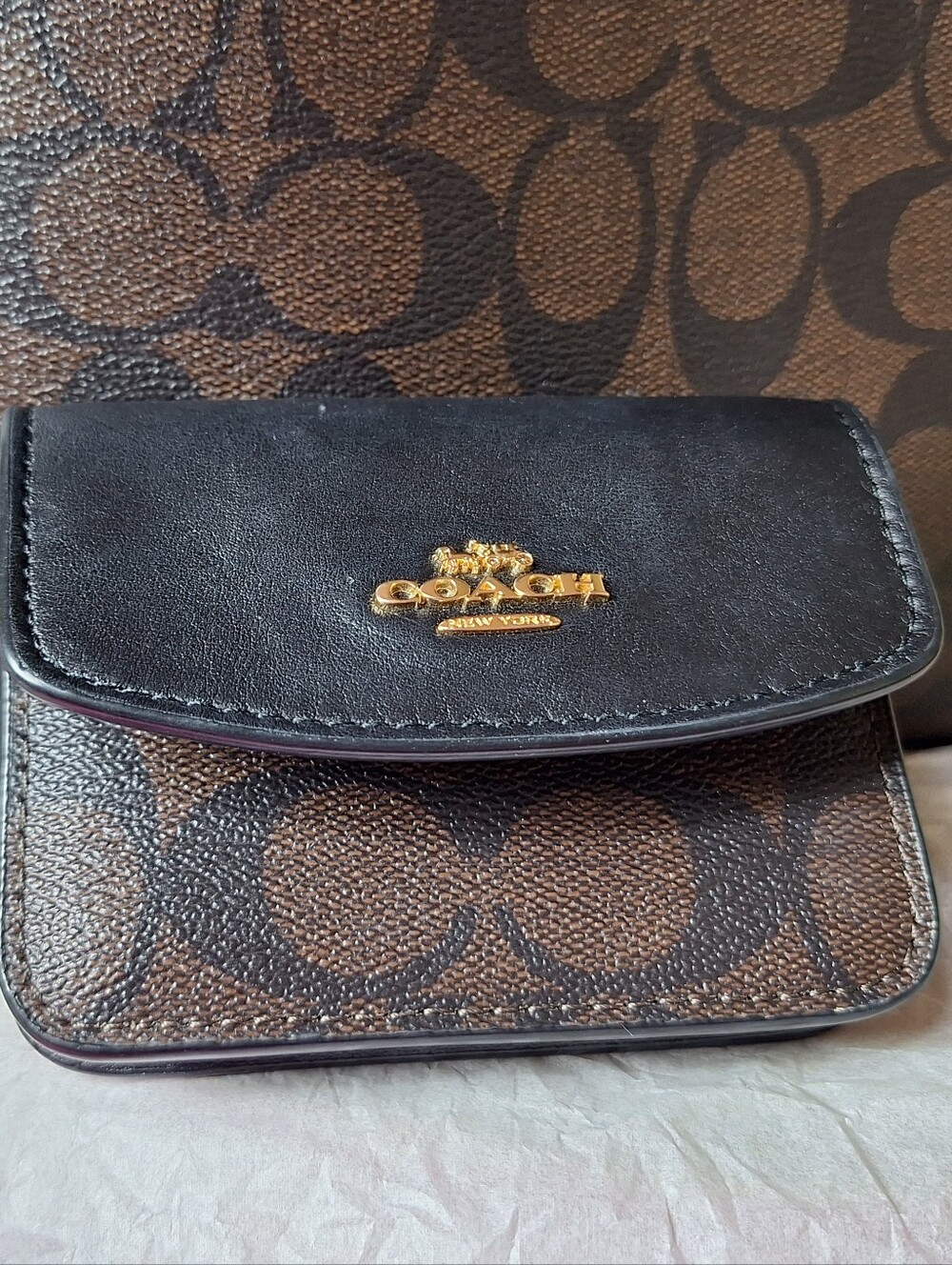 Coach Mini Signature - Picture 11 of 12